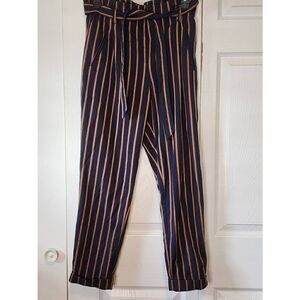 Zara Navy Striped Pants